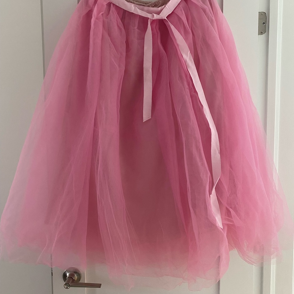 J. Crew Pink Tulle Skirt